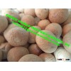 DRIED SLICE BETEL NUT _BEST QUALITY_COMPETITIVE PRICE