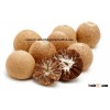 BETEL NUTS COMPETITIVE price NICE QUALITY
