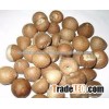 Dried Betel Nut High Quality and competitive price From Vietnam