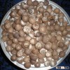 BETEL NUTS 80% GOOD CUT VIETNAM