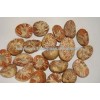 VIETNAM WHOLE BETEL NUTS / SPLIT BETEL NUT/ SLICE BETEL NUT FOR FOODS