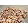 VIETNAM SPLIT BETEL NUT/ SLICE BETEL NUT FOR SALES / WHOLE NUT CROP 2015