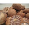 Whole Betel Nut