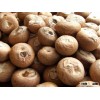 Whole Betel Nut for Sale