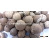 BETEL NUT ( SKYPE: t.trucly )