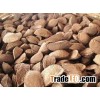 BRAZIL NUT,CASHEW NUT,CHESTNUT