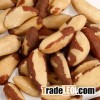 ORGANIC BRAZIL NUTS for cheap price