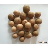SUPPLY DRIED WHOLE BETEL NUT GOOD CUT (Viber, Whatsapp:00841687264621)