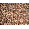 Dry Betel Nuts