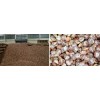 Dried Slice And Whole Betel Nuts 70%-75%