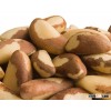 Organic and Conventional Brazil Nuts Raw Sizes Brazil Nuts Top Quality for sale Brazil nuts contain 