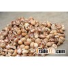 BETEL NUT WITH BEST PRICE AND GOOD QUALITY