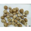 BETEL NUT ( whatsapp/ viber. kakao talk:0084 907 886 929