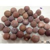 SUPPLIER OF BOILED WHOLE BETEL NUT FROM VIETNAM