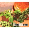 (Whatsapp:00841687264621) FRESH BETEL NUT FROM VIETNAM