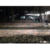 DRY BOILED YOUNG BETEL NUT (Skype: anda.ty, Email: katherine.vilaconic@gmail.com)