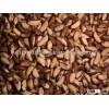 Brazil Nuts - 100% Premium Quality