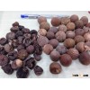 SELL BOILED WHOLE BETEL NUT FROM VIETNAM (00841687264621)