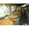 EXPORT DRIED WHOLE BETEL NUT GOOD CUT FROM VIETNAM