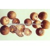 Dried Betel Nut Big Quantity