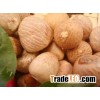Best Price Betel Nuts