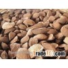 Brazil Nuts are a healthy nut high in protein Brazil Nuts Top Quality for sale Brazil nuts contain 1
