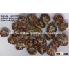 WHOLE / SPLIT BETEL NUT ( ngohalinh.joelie(at)gmail.com, WhatsApp: 84968999205)