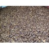 DRIED BOILED YOUNG BETEL NUT FOR CHINA MARKET (Call: +841687264621, Email: katherine.vilaconic@gmail