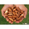 2016 Organic Brazil Nuts