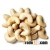 Cashew nut Nuts & Kernels ww240, ww320, ww450, SW240, SW320, LP, WS, DW grade A Processed Cashew