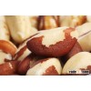 Top Quality Brazil nuts / Organic Brazil nuts In-shell