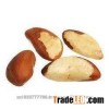Brazil Nuts Top Quality for sale