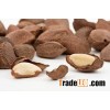 Organic Brazil Nut Kernels