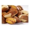 Brazil nuts, Organic Brazil nuts ( Raw & Shell ) for sale