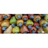 RAW CASHEW NUTS