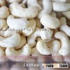 Cashew Nuts WW240