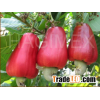 CASHEW NUTS