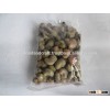 Indonesian Raw Cashew Nut in Shell