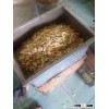 Supply Cashew Nut From Vietnam With Best Price And High Quality