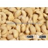 Dried Raw Cashew Nut in Shell