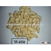 Dried Style Vietnam Cashew Nuts/ Cashew Kernels ww450