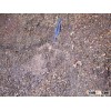 Extracted Cashew nut shell