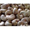 Cashew Nuts with Shell