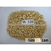 High quality Vietnam Cashew Nut