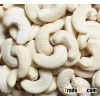 Cashew Nut
