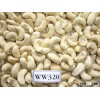 High quality Cashew Nut Kernels W320
