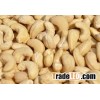 Raw Cashew Nuts for Sale
