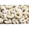 Premium quality Cashew Nut Kernels W320