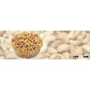 CASHEW NUTS FOR FOOD ORGANIC CERTIFICATED