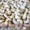 Cashew Nuts WW450